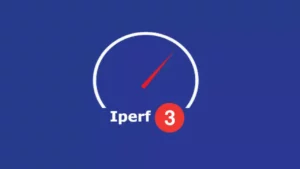 Iperf3 on ESXi 8 “Operation not permitted” Error Message